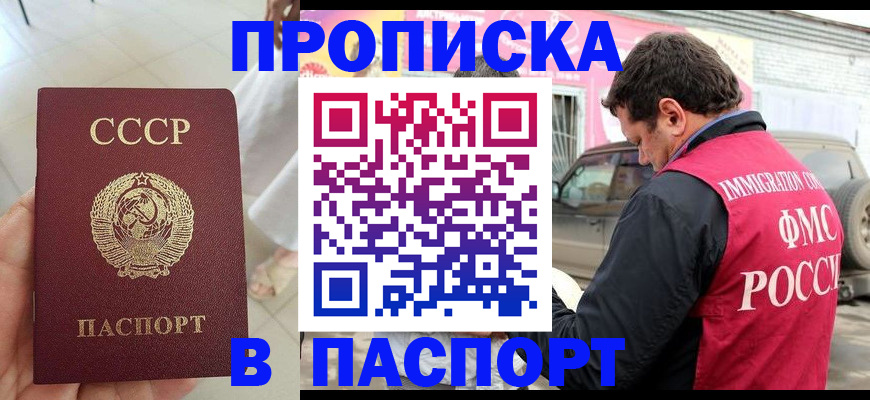 прописка поиск в Королёве